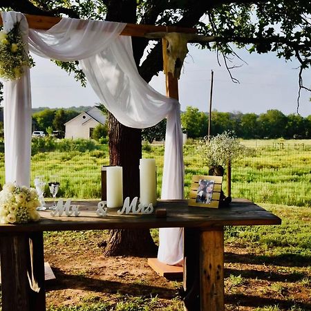 Beautiful Farmhouse W/ Pool On 6 Acres Ranch Aubrey Exterior foto