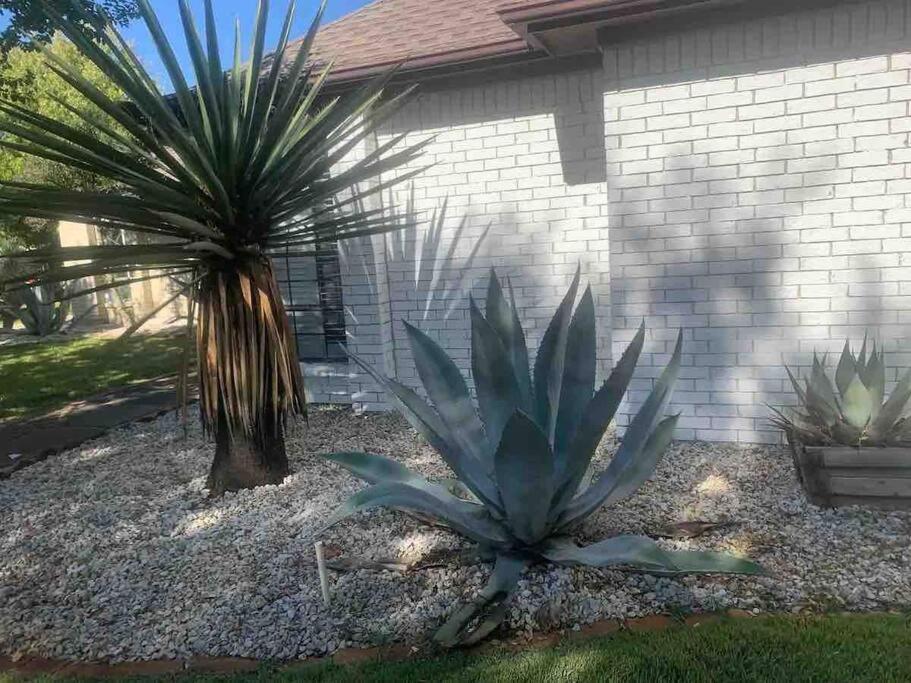 Beautiful Farmhouse W/ Pool On 6 Acres Ranch Aubrey Exterior foto