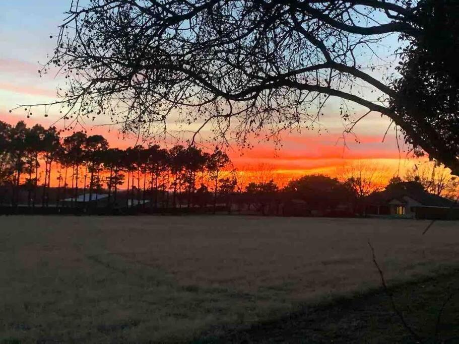 Beautiful Farmhouse W/ Pool On 6 Acres Ranch Aubrey Exterior foto