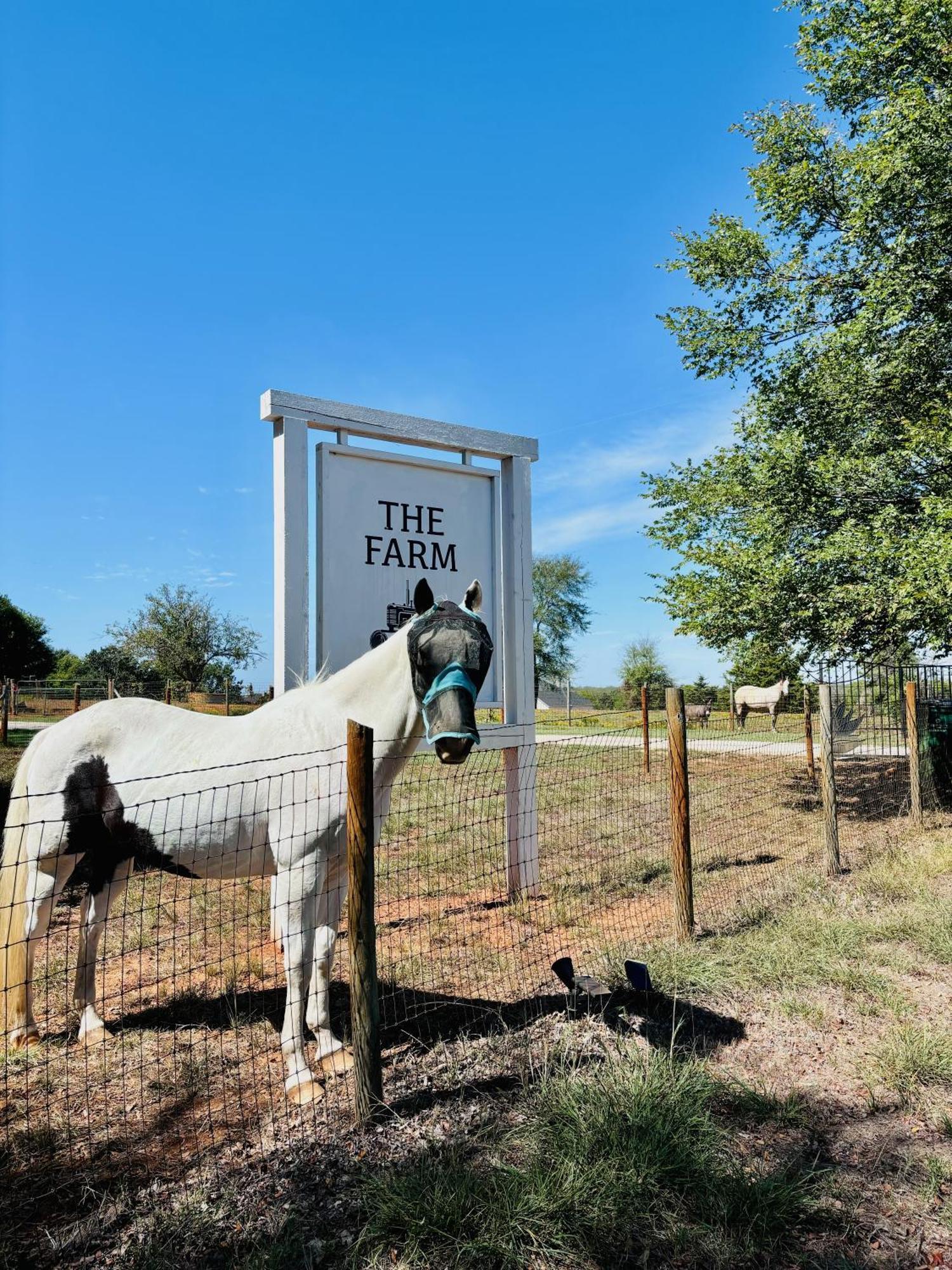 Beautiful Farmhouse W/ Pool On 6 Acres Ranch Aubrey Exterior foto
